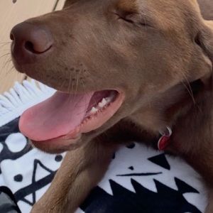 Meet your Posher, Megan